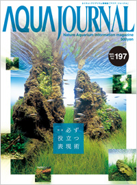 Aqua Journal Vol. 197 (Print Edition in Japanese)