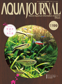 Aqua Journal Vol. 199 (Print Edition in Japanese)