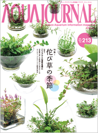 Aqua Journal Vol. 213 (Print Edition in Japanese)