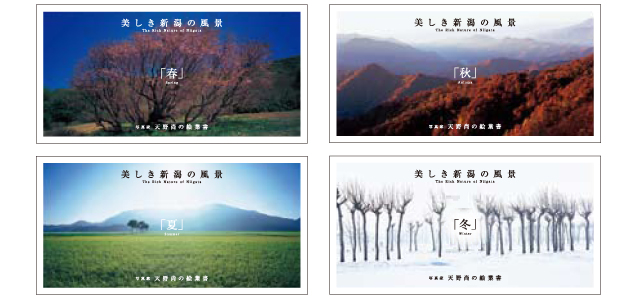 Takashi Amano photograph Postcard - 4 seasons sets Takashi Amano photograph Postcard - 4 seasons sets
