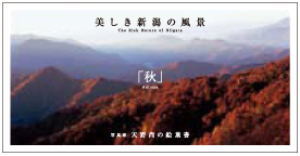Takashi Amano photograph Postcard - Autumn