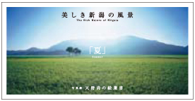 Takashi Amano photograph Postcard - Summer