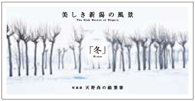 Takashi Amano photograph Postcard - Winter