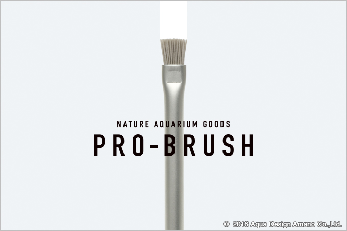 Pro-Brush