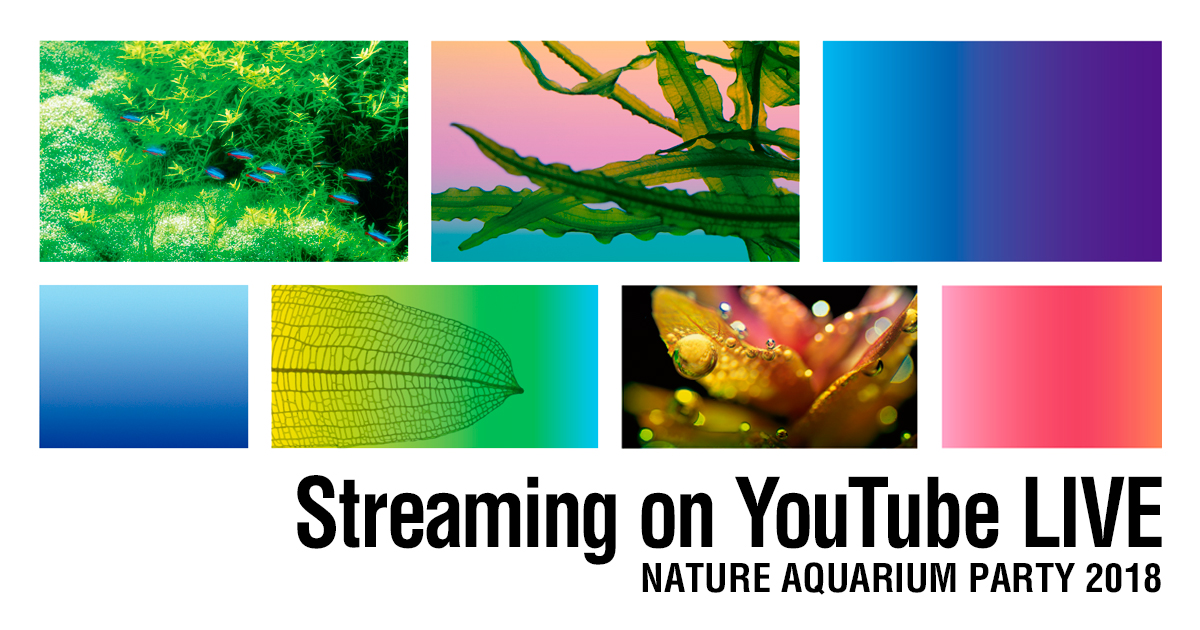 Nature Aquarium party 2018 Broadcast on YouTube LIVE