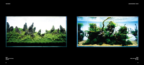 Takashi Amano Photography Book "THE ART OF NATURE AQUARIUM"  P132-133