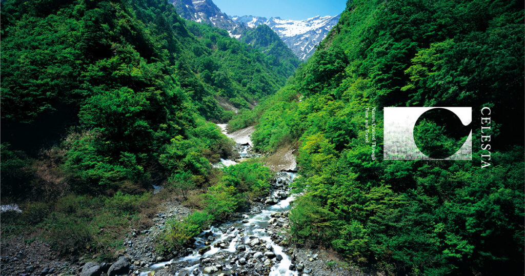 UONUMA & Iwagumi Masterclass — 7-Day Fully Inclusive Guided Tour with Yusuke Homma –