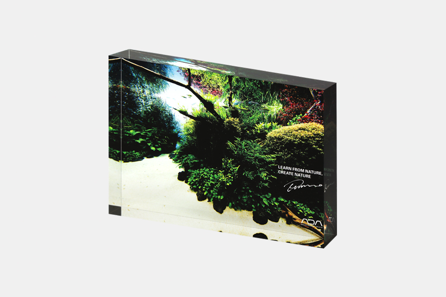 ACRYLIC PHOTO BLOCK -FORESTS UNDERWATER- 01