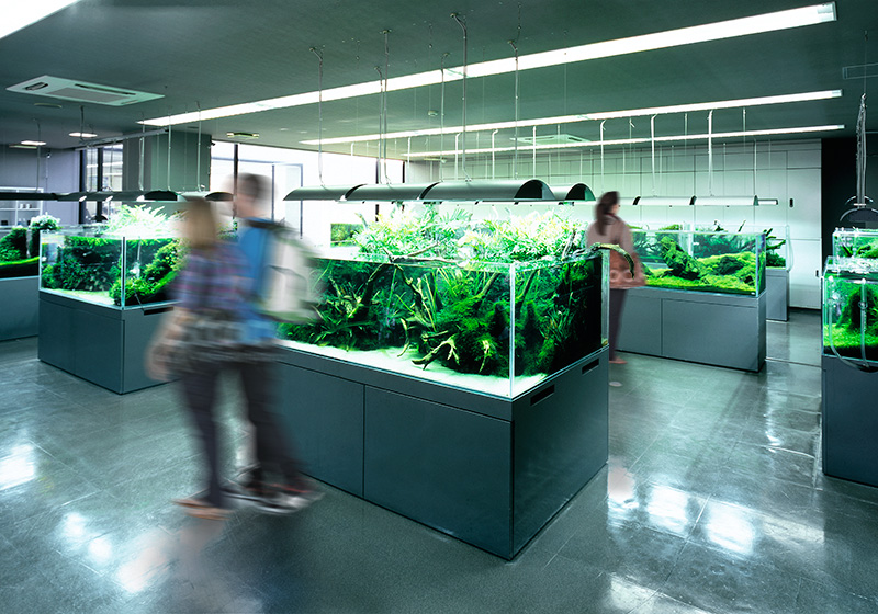 ギャラリーイメージ2