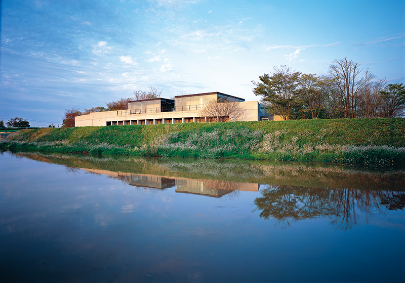 ギャラリーイメージ6