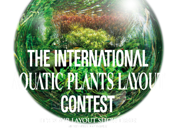 THE INTERNATIONAL AQUATIC PLANTS LAYOUT CONTEST