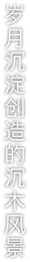 自然が創る石の景観。