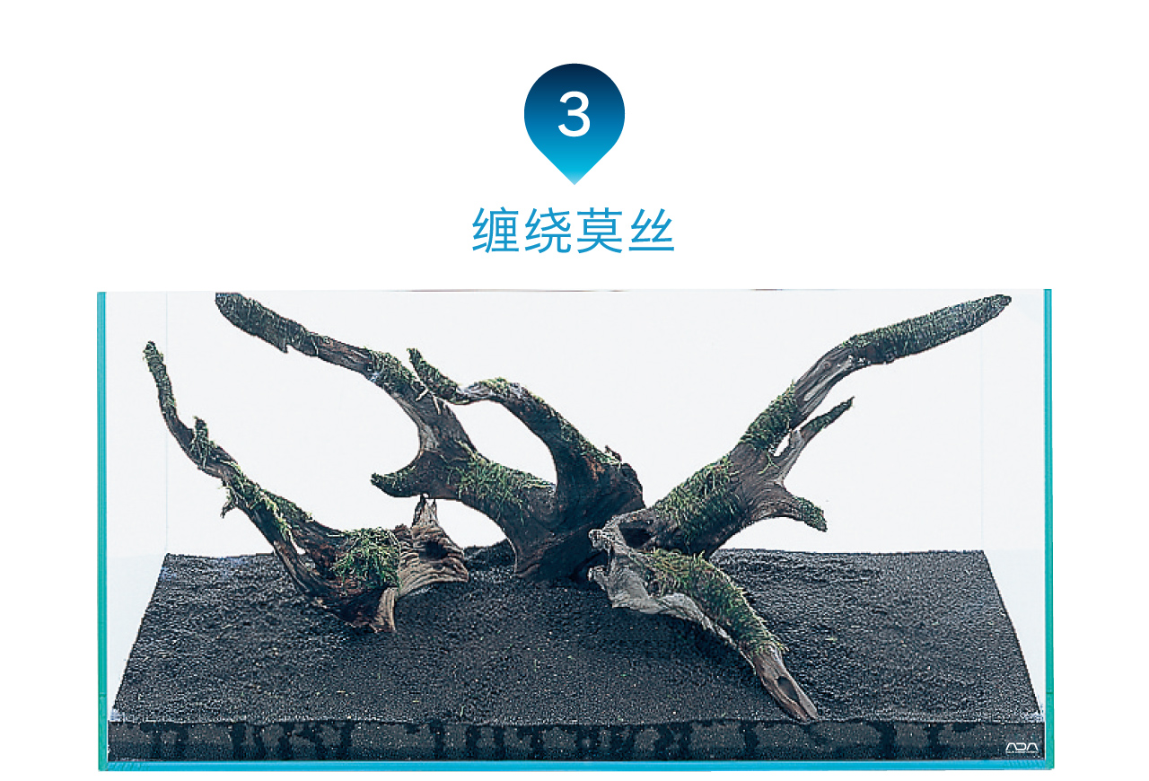 ADA - NATURE AQUARIUM - 自然水族造景的定义?