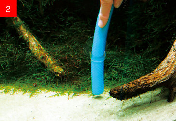 用水管将污渍和刮掉的藻类吸出。