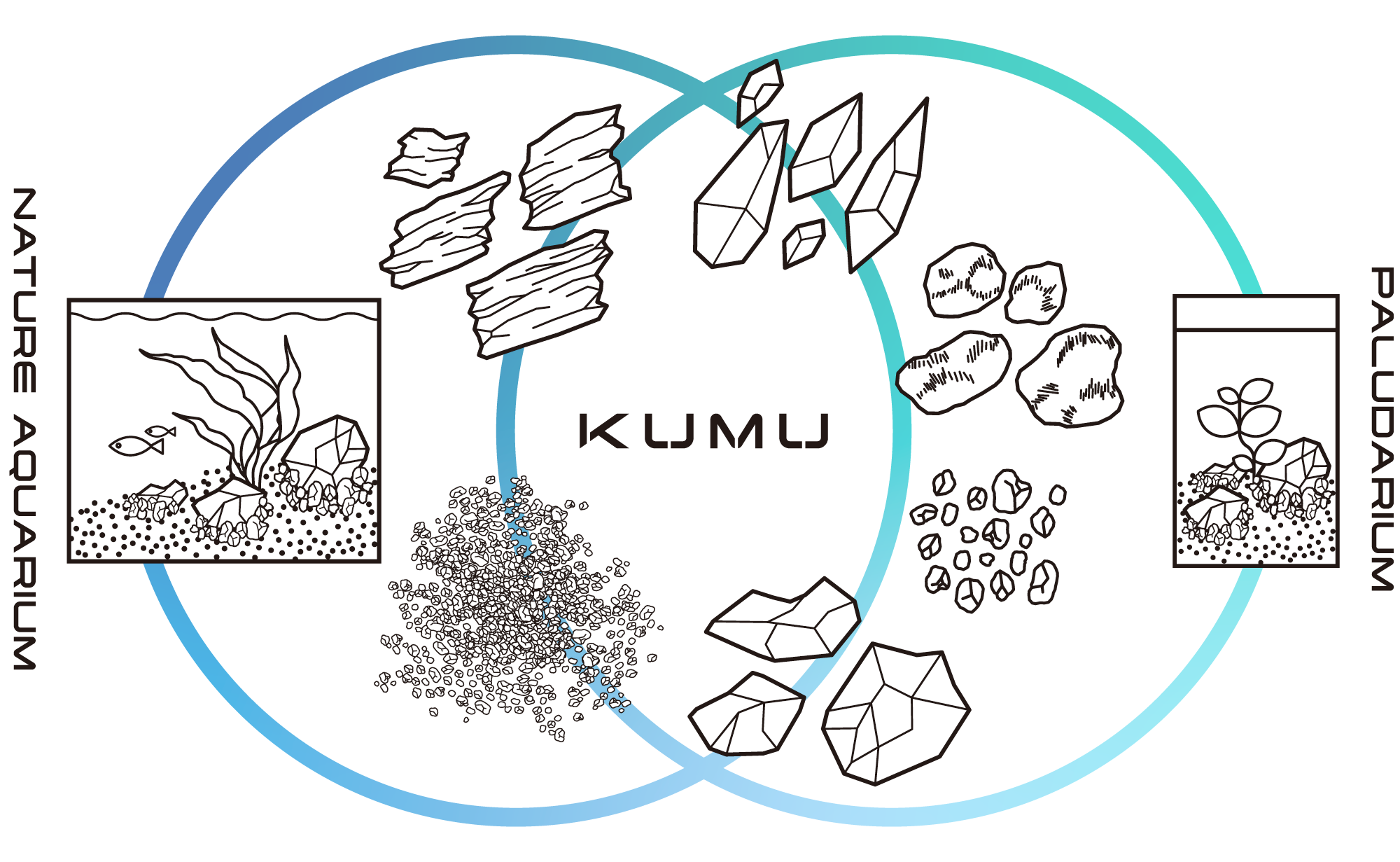 kumu相関図