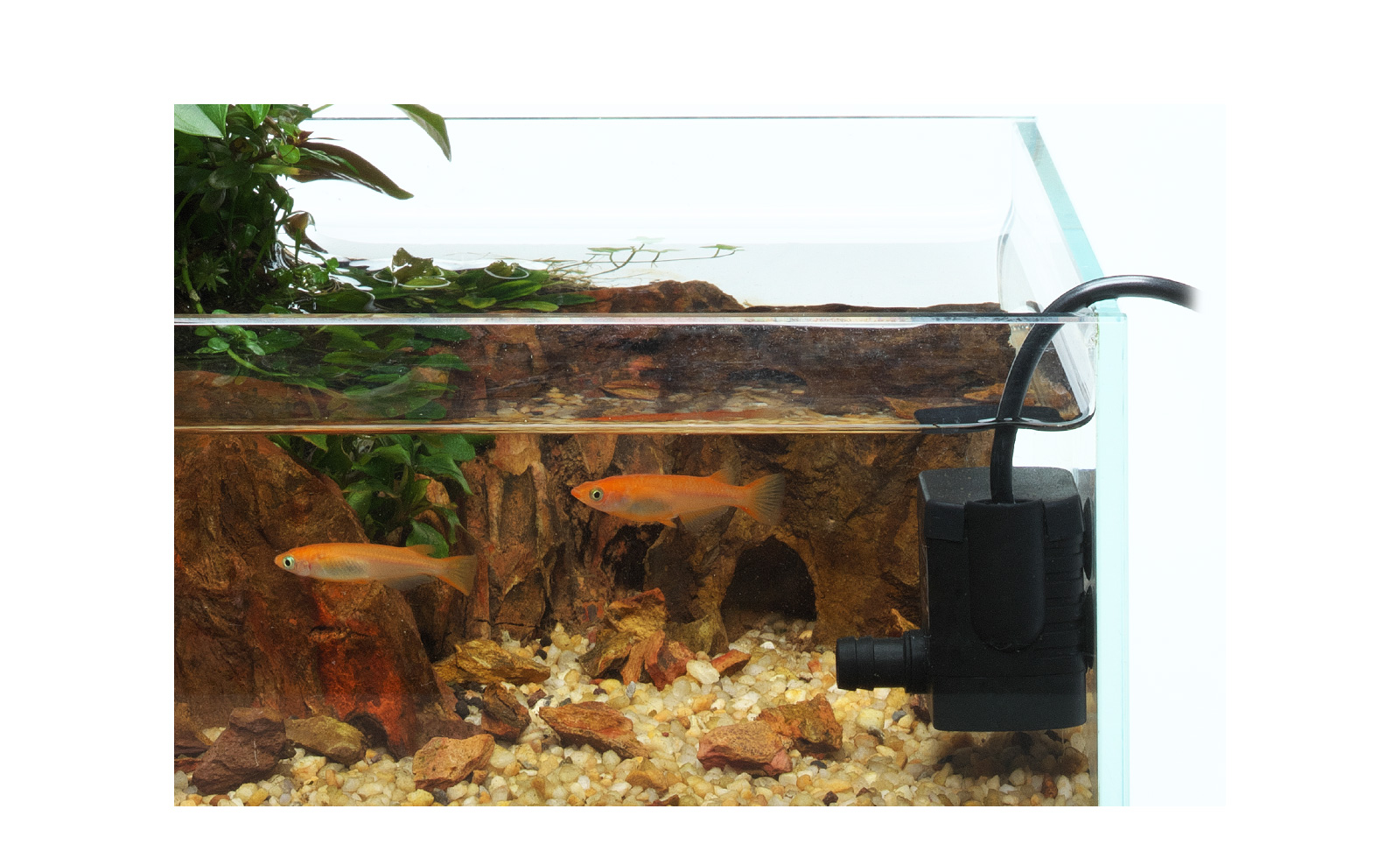 佛波金属除油膜器 (二代)