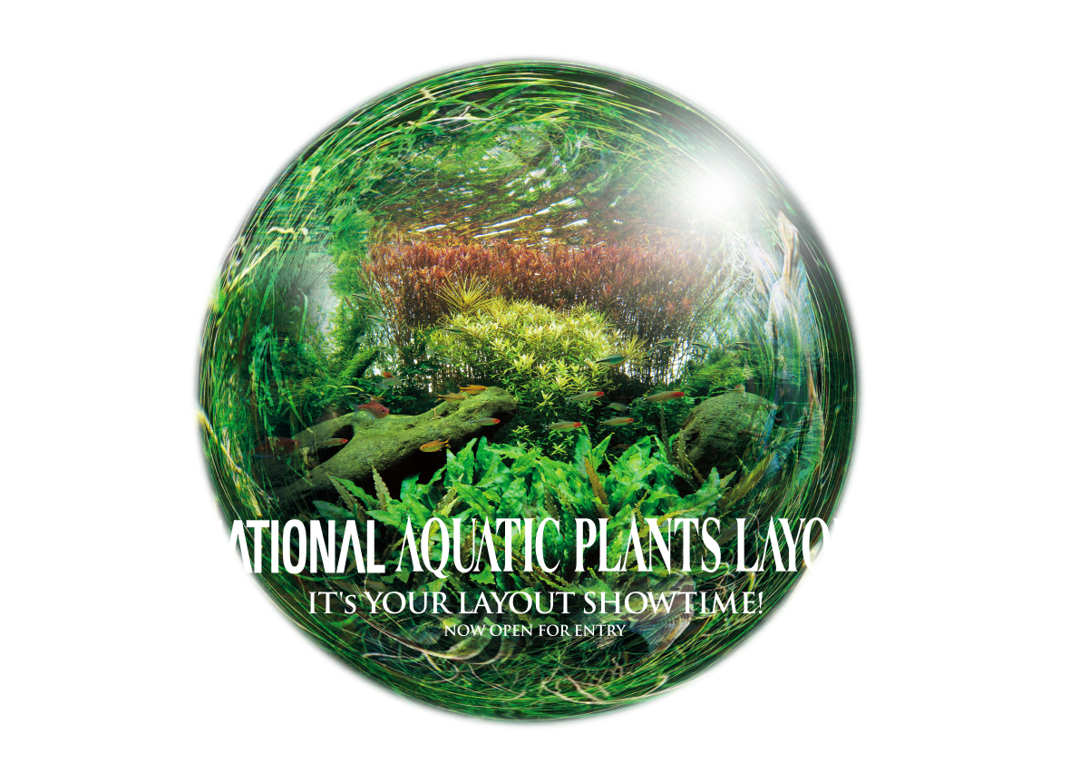 THE INTERNATIONAL AQUATIC PLANTS LAYOUT CONTEST