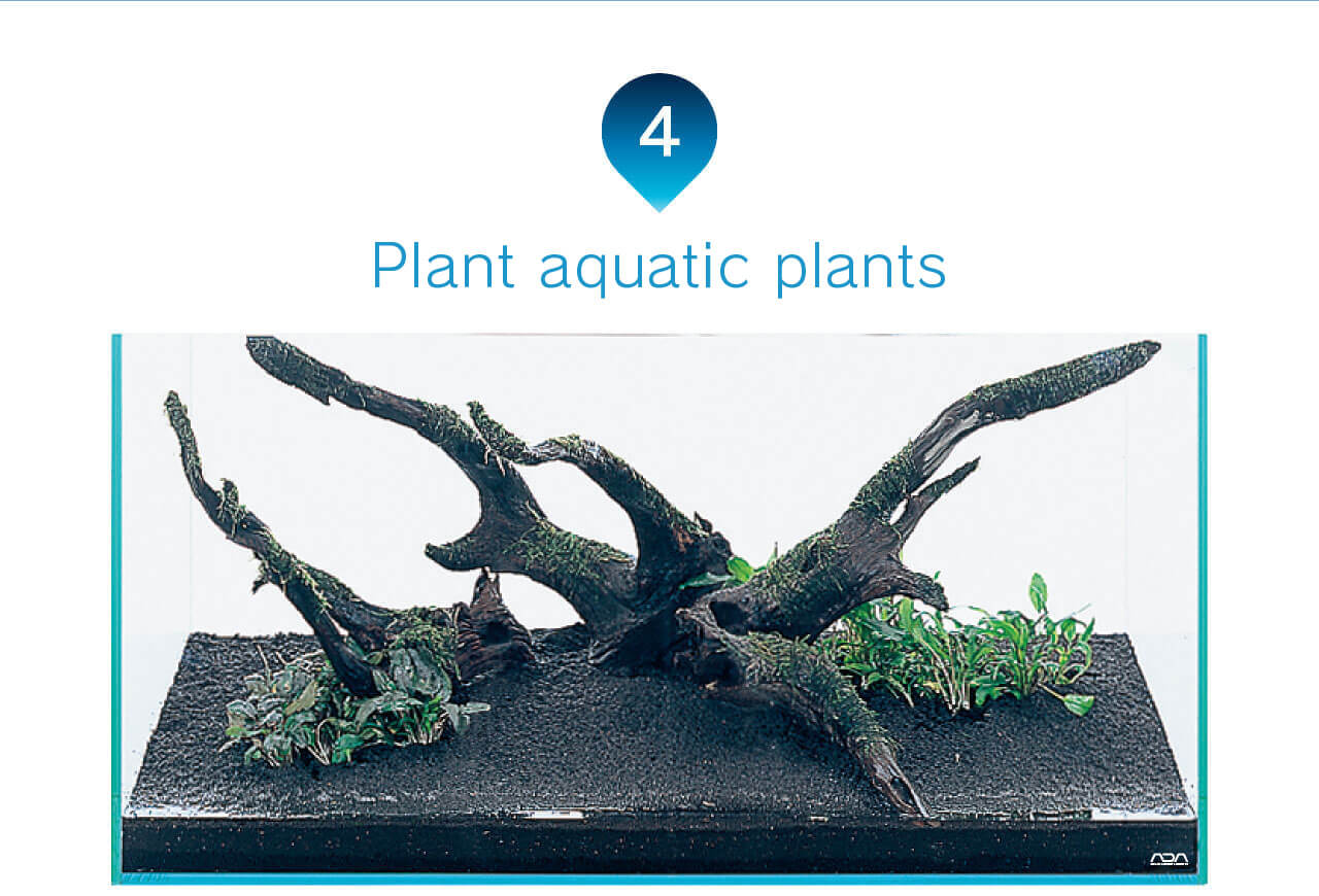ADA - NATURE AQUARIUM