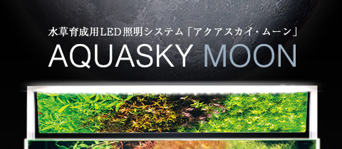 ＡＤＡ　ポスター Balance of Natureポスター発売のお知らせ | ADA - NEWS RELEASE