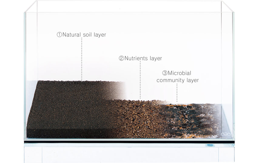 ADA’s Live Substrate System