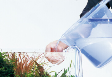 Ideal to conduct water change everyday