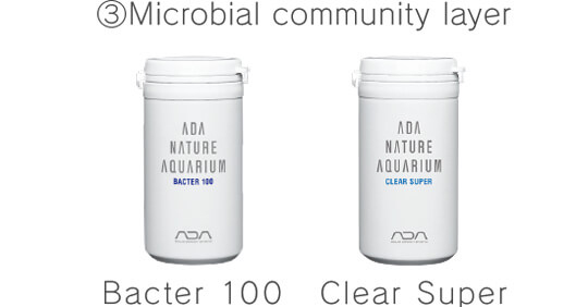 Nature Aquarium Starting from Zero | ADA - NATURE AQUARIUM