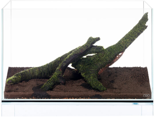 ADA アマノ NATUREAQUARIUM ADA Nature Aquarium Calendar 2024 – Aqua Forest Aquarium