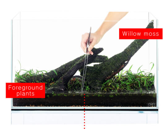 水槽用品 ADA NATUREAQUARIUM ADA Cube Garden W60xD45xH36cm Rimless Aquarium (Ultra High