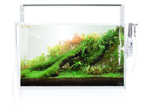 forræder diamant Rig mand Nature Aquarium Starting from Zero | ADA - NATURE AQUARIUM