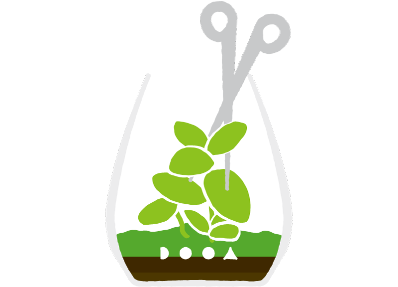 Enjoy Paludarium with DOOA Glass Pot SHIZUKU! | ADA - DOOA