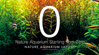 Start Nature Aquarium