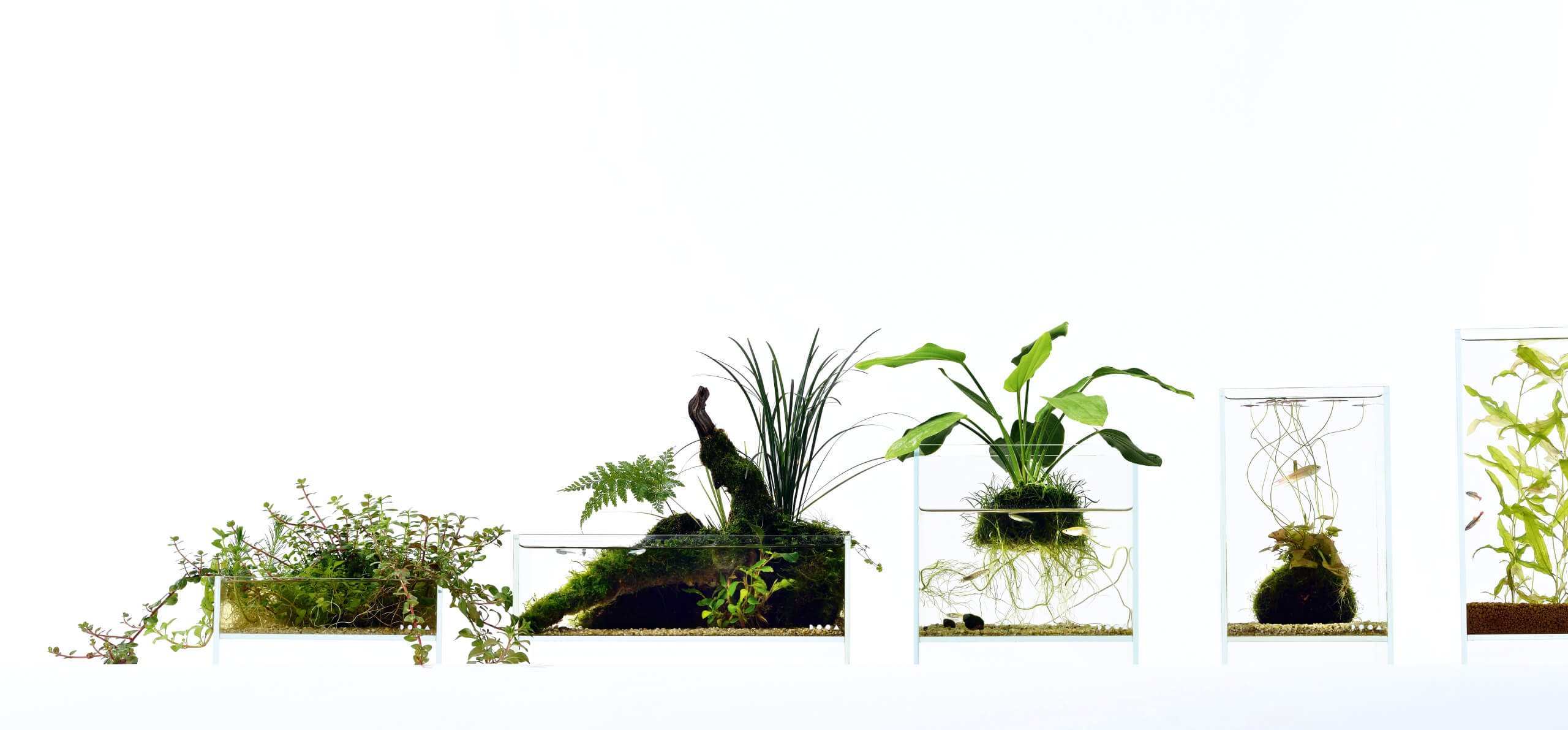 DOOA LINEUP | ADA - PRODUCT