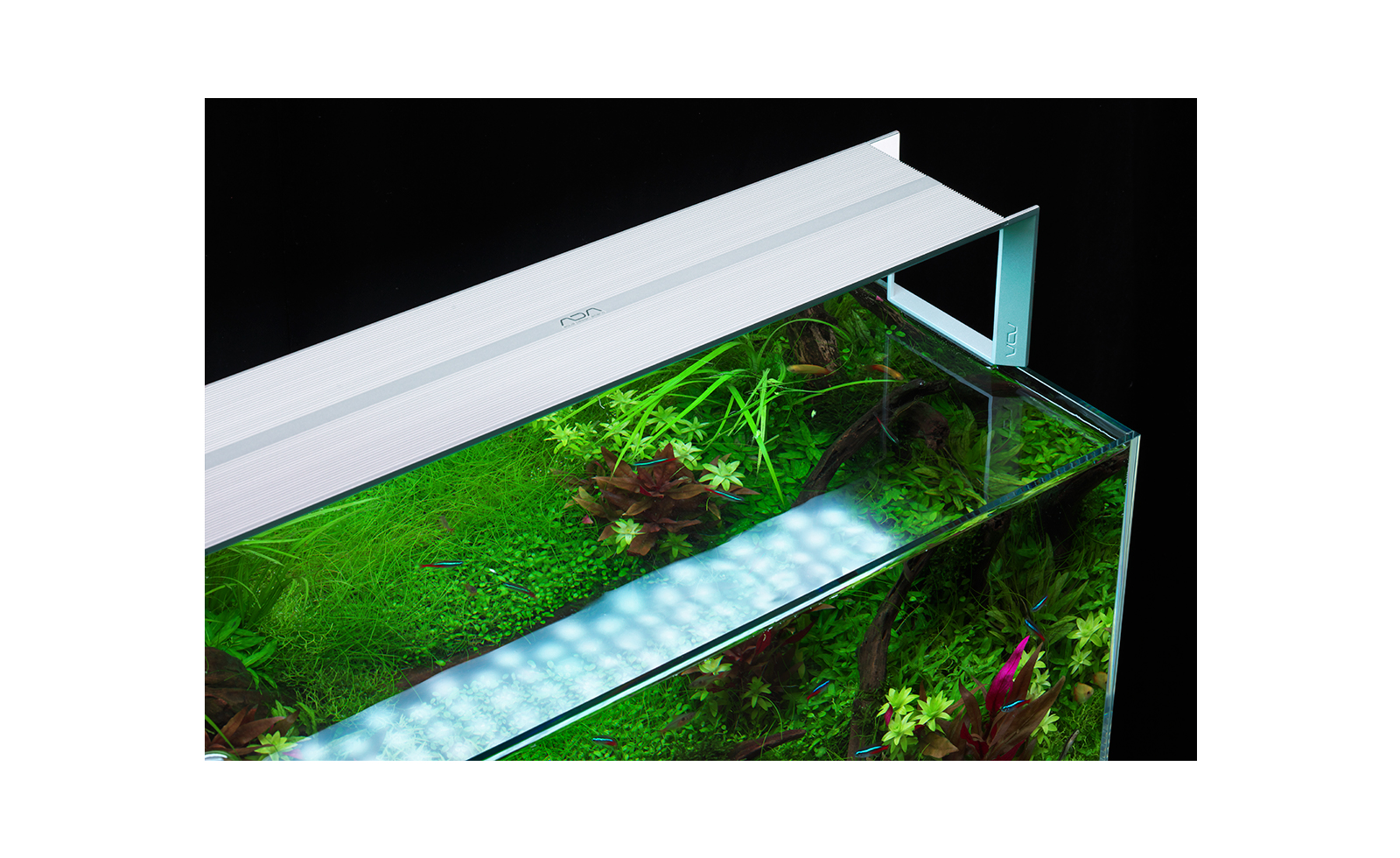 AQUASKY | ADA - PRODUCT - LIGHTING SYSTEM