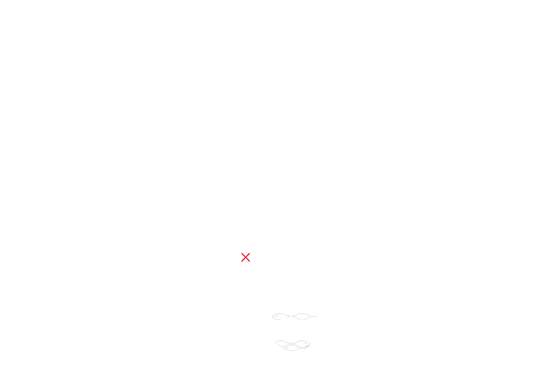 The World’s Largest Nature Aquarium Project Takashi Amano x Oceanário de Lisboa