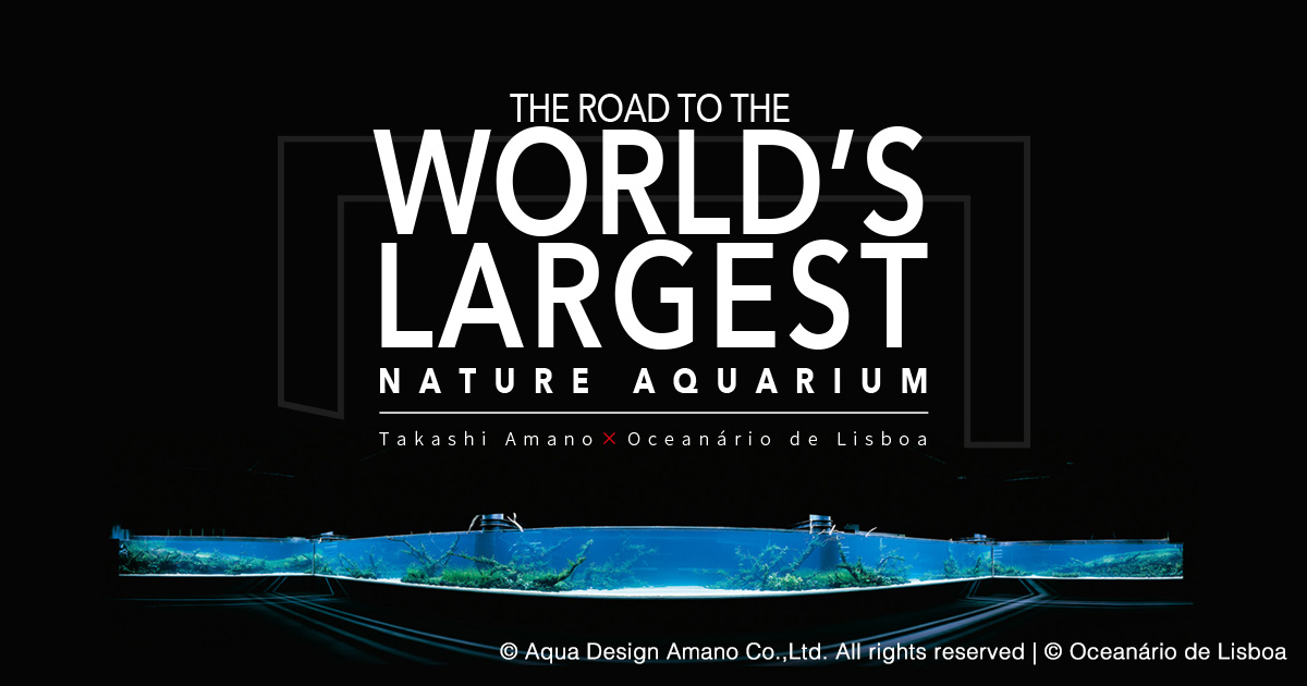 The World's Largest Nature Aquarium Project Takashi Amano x
