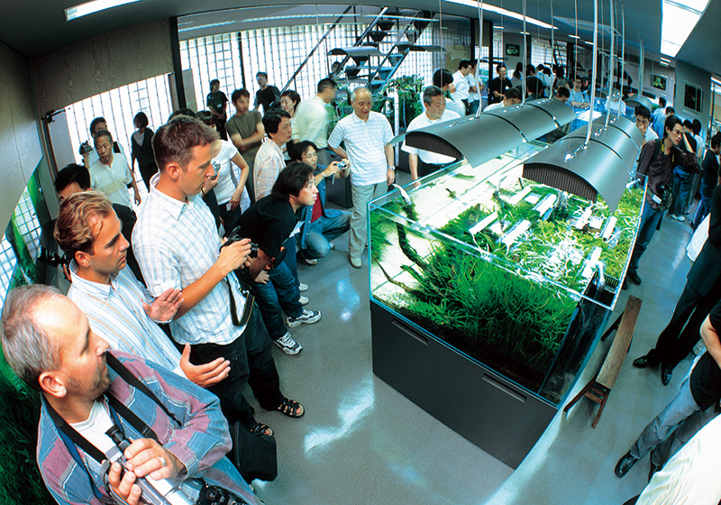 ギャラリーイメージ1