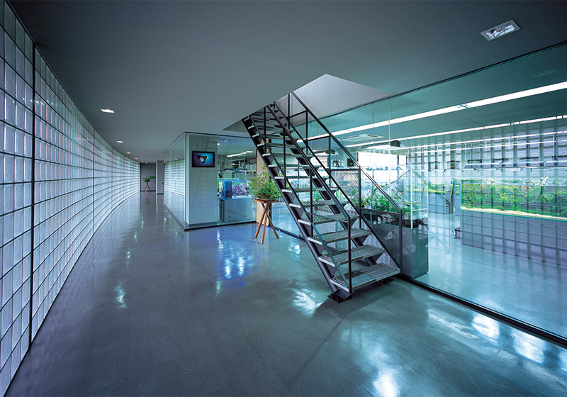 ギャラリーイメージ3