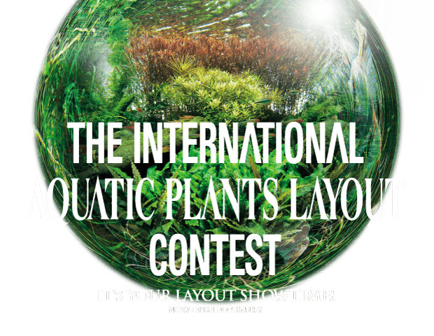 THE INTERNATIONAL AQUATIC PLANTS LAYOUT CONTEST