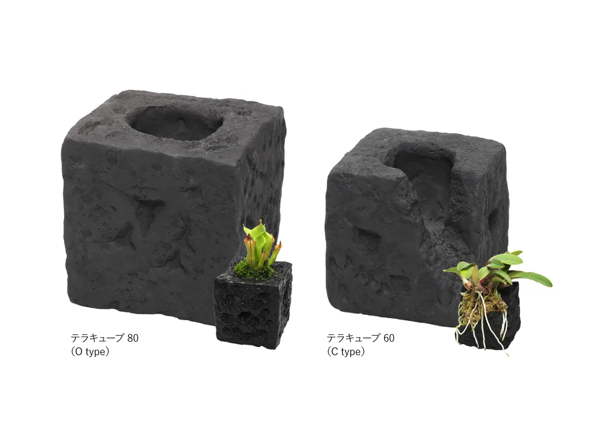 TERRA CUBE