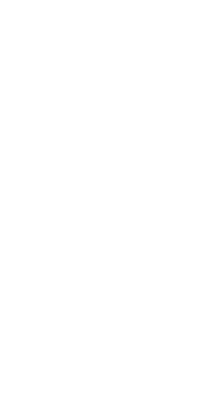 情熱