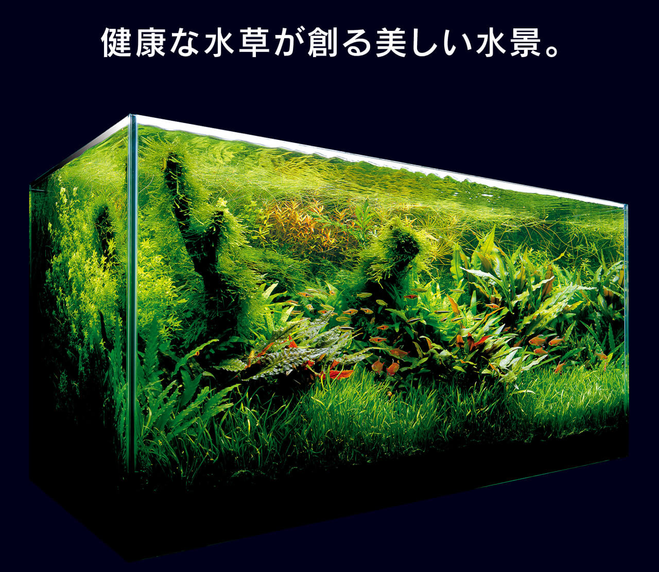 未使用自宅保管ADA NATURE AQUARIUM