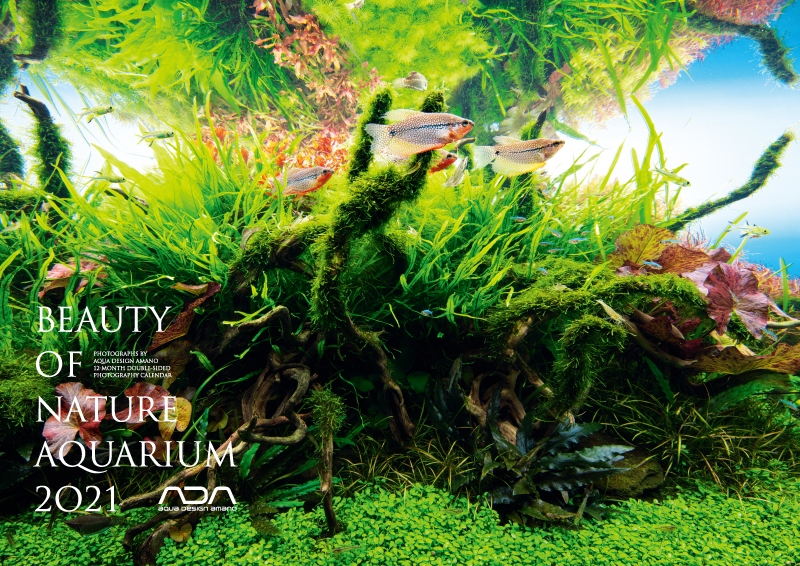 2021 AQUARIUM