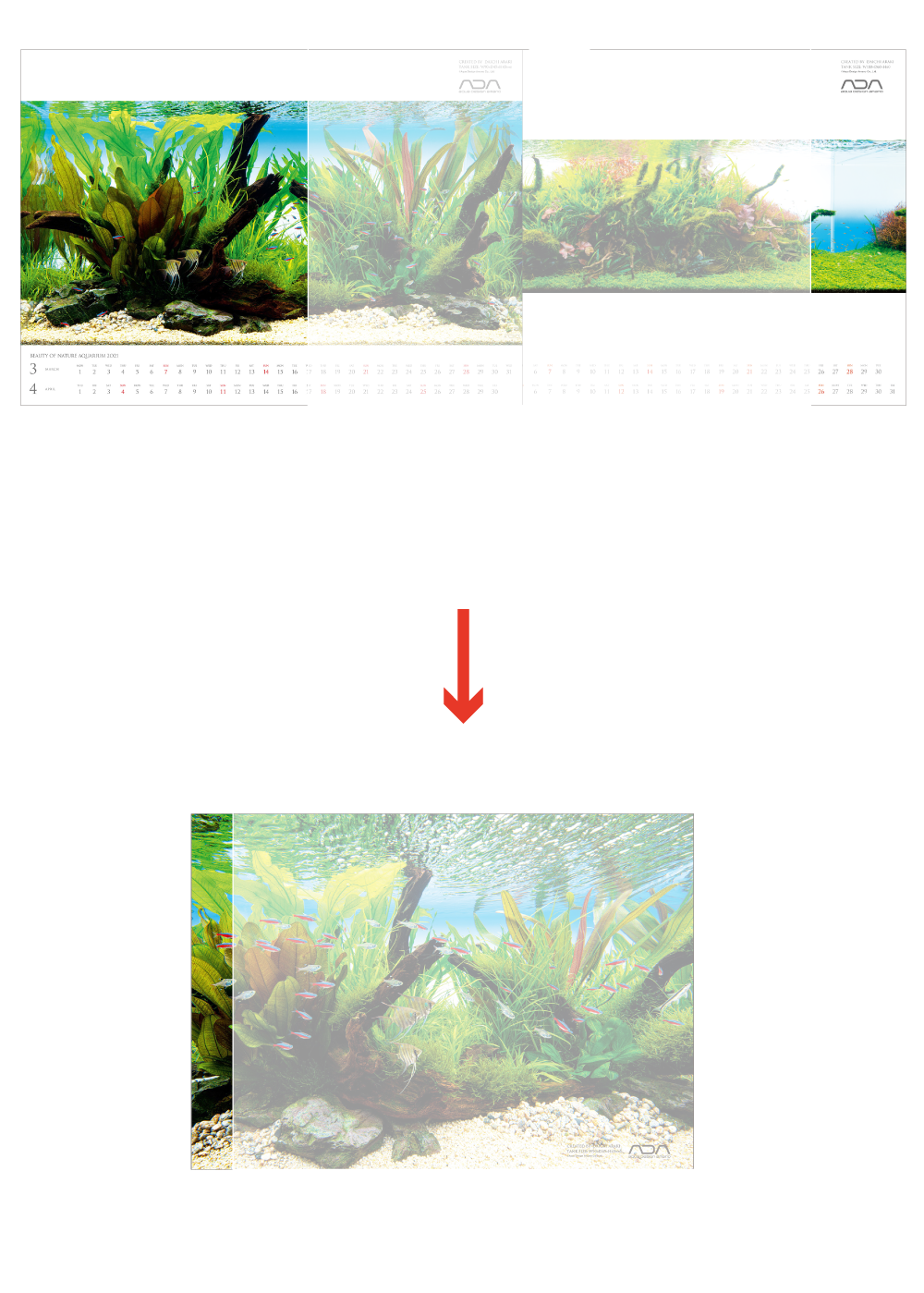ネイチャーアクアリウム カレンダー 21 Ada ネイチャーアクアリウム カレンダー 21 Ada