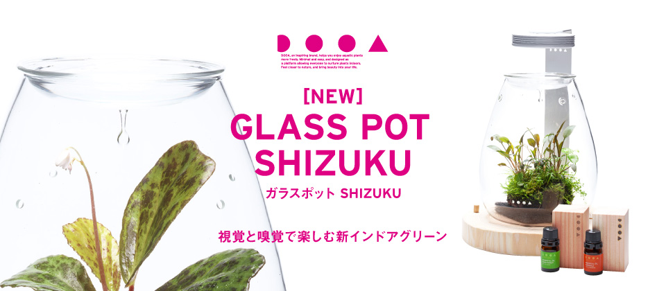 DOOA ガラスポット SHIZUKU・DOOA ウッドベース SHIZUKU