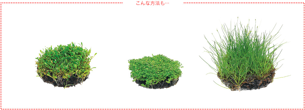 佗び草なら置くだけカンタン・下草