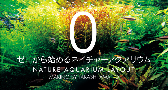 未使用自宅保管ADA NATURE AQUARIUM