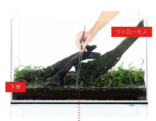 【引取り限定】ADA レイアウト素材　詰合せ LAYOUT | AQUA DESIGN AMANO