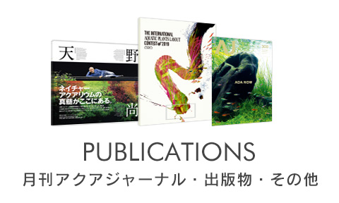 PUBLICATIONS - 出版物