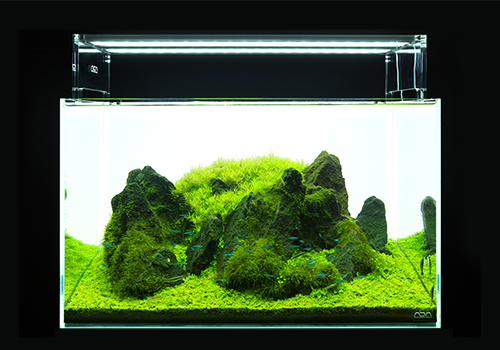 ADA AQUASKY G 60cm  アクアデザインアマノ