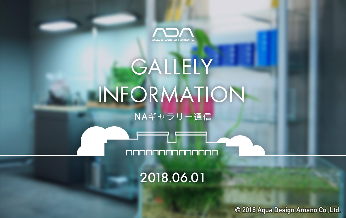 ギャラリー通信 – 2018.06.01 | ADA STAFF BLOG